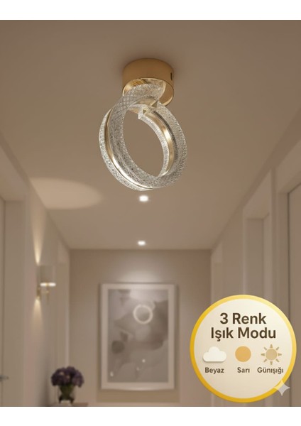 Alya Tekli Gold Avize