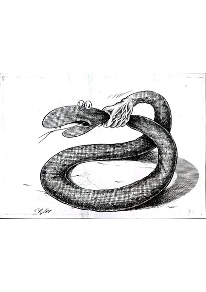 Vladimir Semerenko 29X21CM Orijinal Karikatür Tablo modelleri