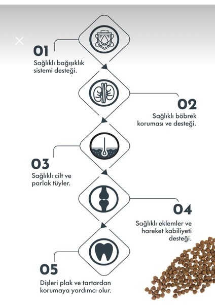 Pro Perf.puppy Dog M&l Salmon & Blueberry 12 Kg. fiyatları