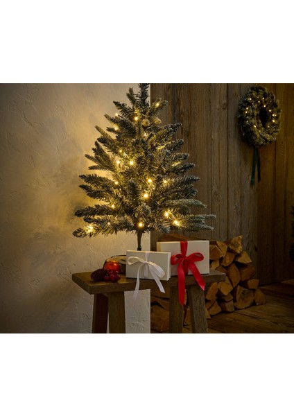 LED Çam Ağacı, Dış Mekan, 75 cm