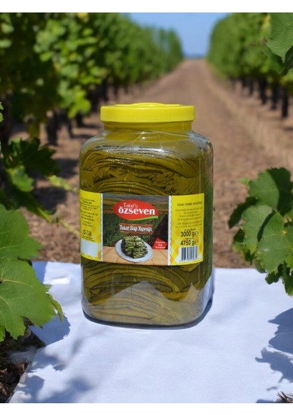 Özseven Tokat Bağ Yaprağı NET:4750GR