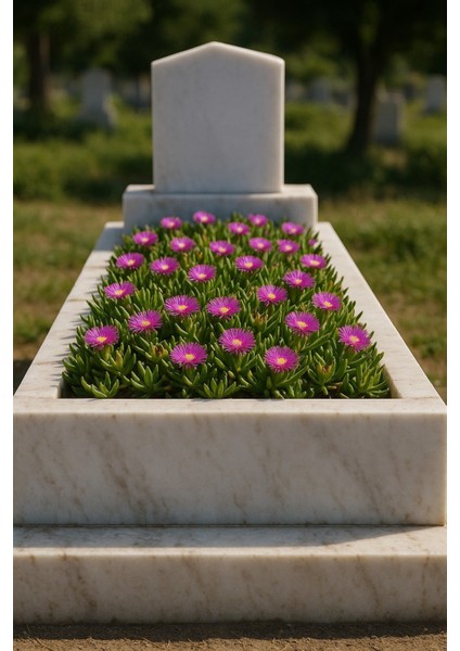 MEZAR - KABİR ÇİÇEKLİ BİTKİ SETİ - 90 ADET KAZ AYAĞI + 20 KG DOLO