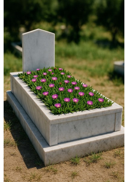 MEZAR - KABİR ÇİÇEKLİ BİTKİ SETİ - 90 ADET KAZ AYAĞI + 20 KG DOLO fiyatları