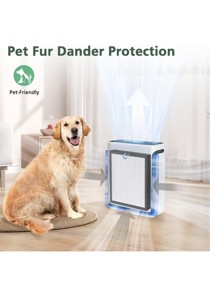 Levoit Vital 100SAIR Arımı, H13 Sınıf Gerçek Hepa ve Yüksek Verimli Aktif Karbon Için Uyumlu Yedek Filtre (Yurt Dışından) modelleri