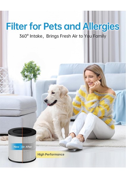 2 Paket B-D02L Mooka B-D02L &amp; M05 Hava Arabıcıları ve Vewıor B-D02U &amp; Tagulu D10 Hava Temizleyicisi Için (Yurt Dışından) modelleri