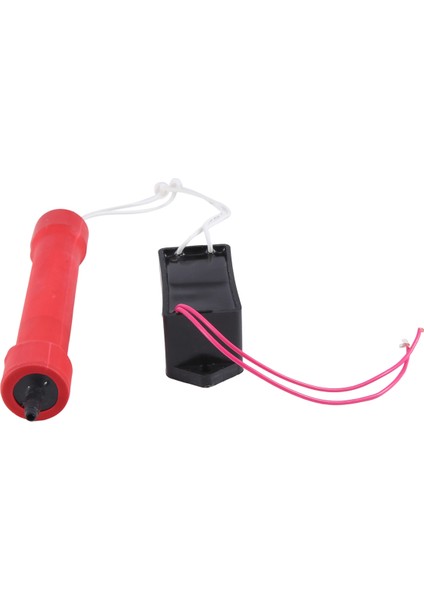 2g Ozon Jeneratör Aksesuarları Dıy Ev Hava Temizleyicisi Su Tesisi Temizleyici Sterilizasyon Dezenfeksiyon Malzemeleri (Yurt Dışından) indirimleri