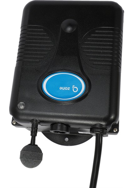 220V 300MG/S Ozon Jeneratör Küvet Duş Spa Yüzme Havuzu Ozonizer Küvet Havuz Su Temizleyici Yedek Cihaz Kiti (Yurt Dışından) modelleri