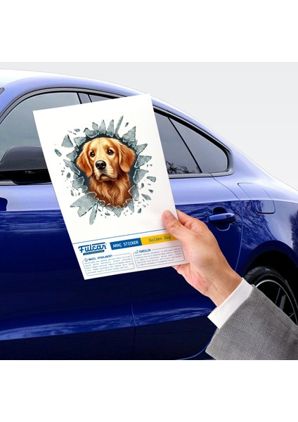 Fulcar Golden Araç Stickerı fırsatları