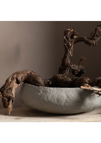 Earth Dekoratif Kase Bej 43X39X15CM fiyatları