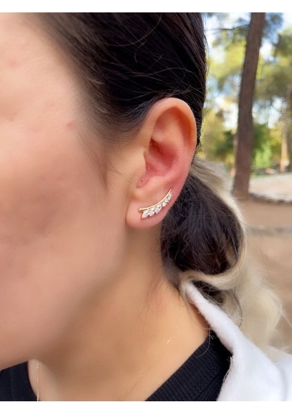 Kadın Xuping Çelik Küpe fiyatları