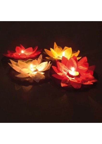 Buğz Nilüfer Su Feneri