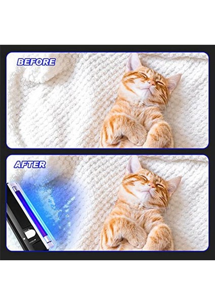 4 Adet El Tipi Uv Siyah Işık Torç Taşınabilir Siyah Işık LED Uv Işık Pil Çalışan Fatura Dedektörü Işığı (Yurt Dışından) fırsatları