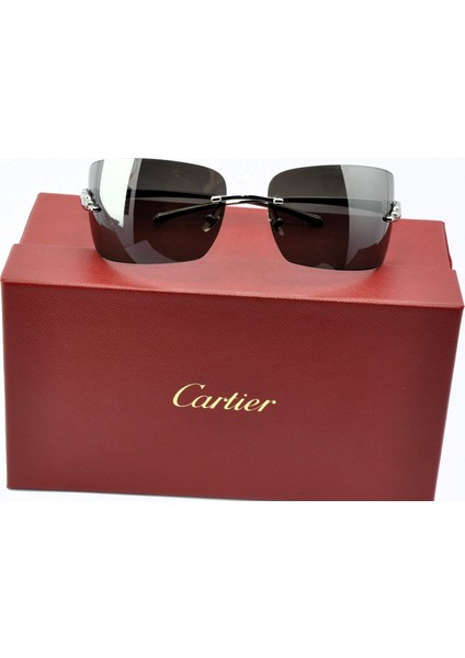 Panthere 72 Gümüş Gri Unısex Güneş Gözlüğü