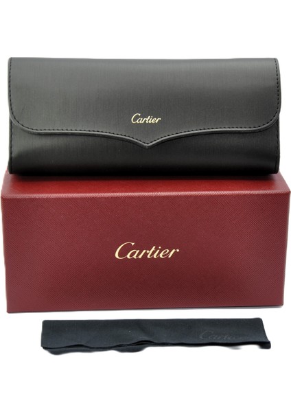 Panthere 72 Gümüş Gri Unısex Güneş Gözlüğü