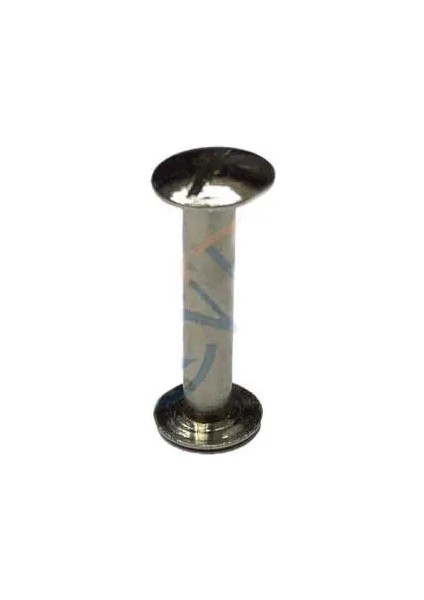 Cilt Menü, Katalog, Kartela Vidası, 20 mm - Nikel, 1 Adet