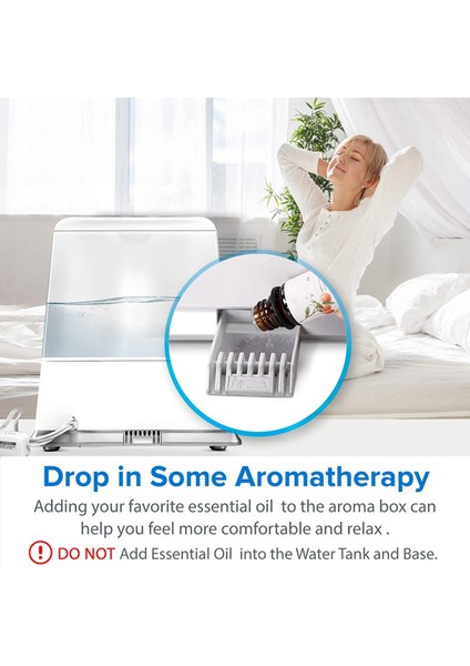 100 Adet Kokusuz Yedekler Aromaterapi Pedleri Aroma Yağı Pedleri Elektrikli Difüzörler Pedleri Araba Parfüm ve Topu Fiş Difüzörler (Yurt Dışından) indirimleri