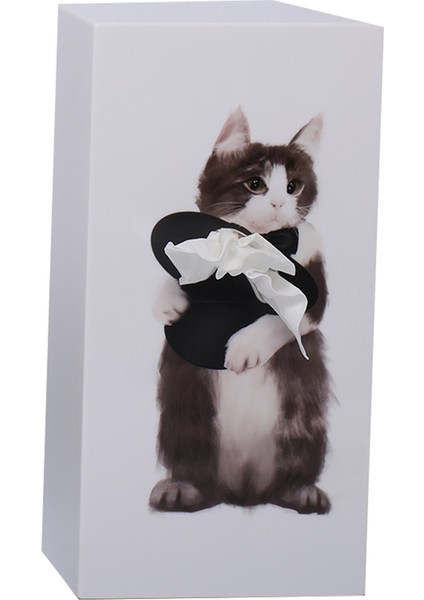 Karikatür Hayvan Doku Kutusu, Yaratıcılar Doku Kutusu Masaüstü Dekorasyon Peçete Kutusu, Banyo Oturma Odası Yüz Doku C (Yurt Dışından)