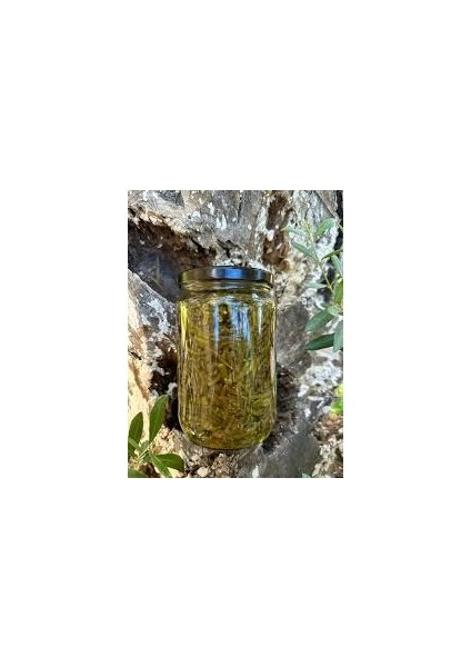 Deniz Börülcesi Konserve 660GR