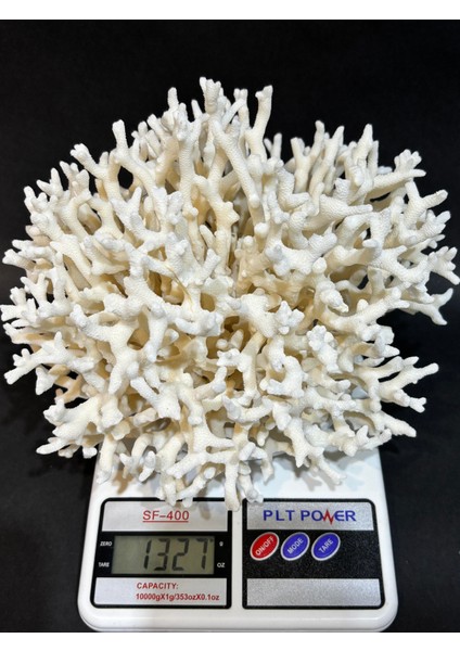 Ince Dal Mercan indirimleri