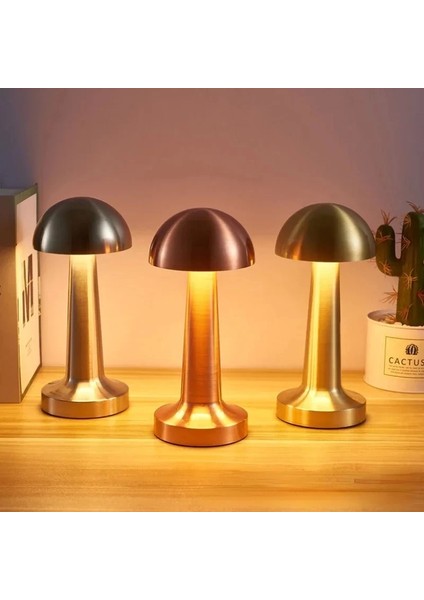 Buğz Masa Üstü Dokunmatik Ledli Lamba ALK3411