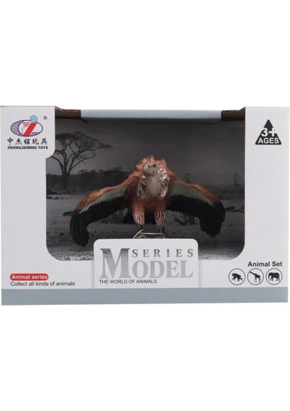 Buğz Kutulu Model Figür Hayvan Akbaba