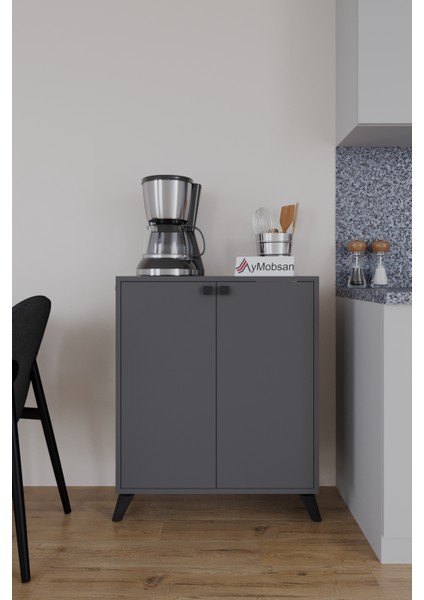 Seren 2 Kapaklı 4 Raflı Boy Dolabı Çok Amaçlı Dolap Kiler Dolabı Mutfak Dolabı Antrasit fiyatları