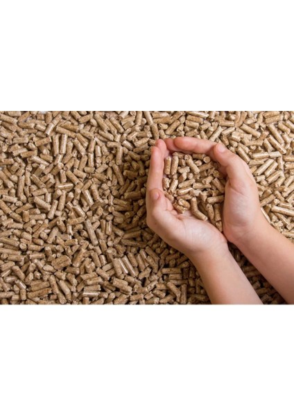 Çam Pelet Yakıt Premium 10 kg fiyatları