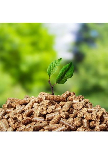 Çam Pelet Yakıt Premium 10 kg modelleri