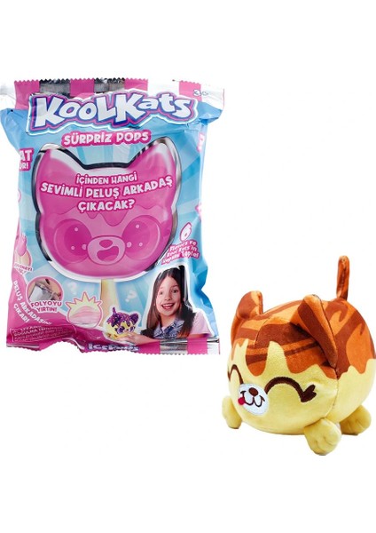 Sürpriz Peluş Kedi