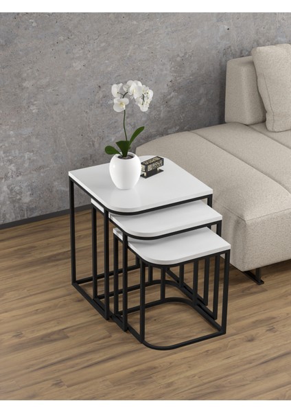 Kitaplık Çiçeklik 6 Raflı Ceviz Çok Amaçlı Stand Altı Bölmeli 160*30*43