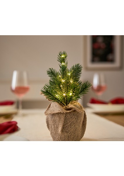 LED Çam Ağacı, Küçük