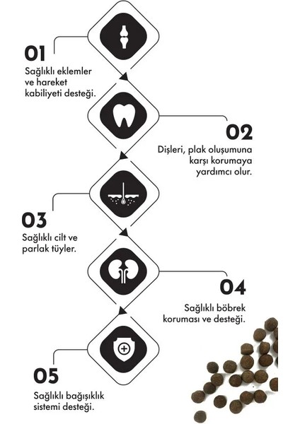 Pro Perf.adult Dog Medıum&large Salmon&rice 12KG fırsatları