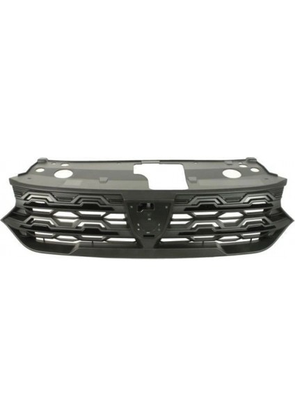 Dacia Sandero Stepway 2020- Panjur Oem No (623105852R)