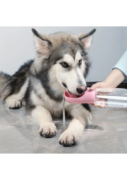 Taşınabilir Evcil Hayvan Suluğu Seyahat Kabı Kilitlenebilen Su Sızdırmaz Kap 350 ml (4887) fiyatları