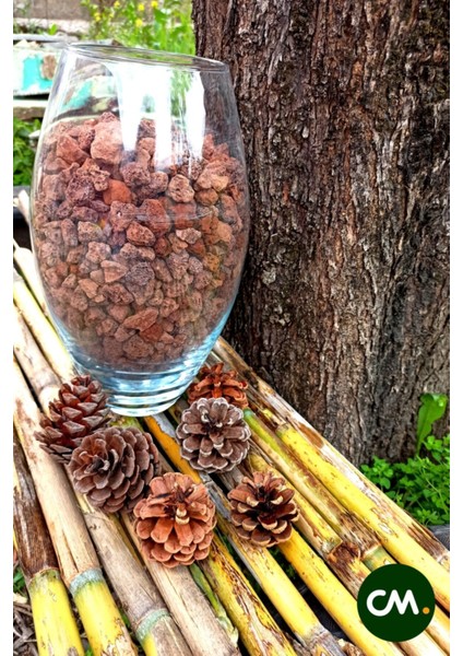 20 kg Pomza Taşı 1 - 2 cm Dekoratif Bahçe Saksı Teraryum Taşı modelleri