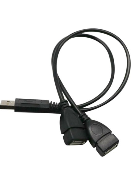 USB 2.0 Y Adaptörü 2 Diş Ayırıcı Adaptörü (Yurt Dışından) fırsatları
