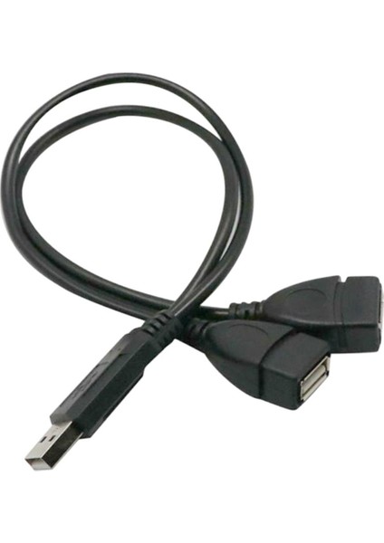 USB 2.0 Y Adaptörü 2 Diş Ayırıcı Adaptörü (Yurt Dışından) indirimleri