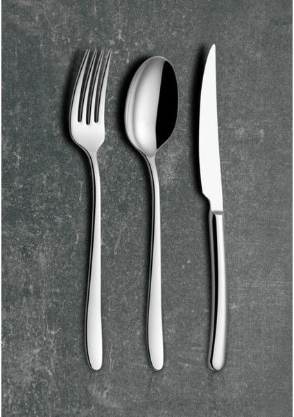 Iris Sade 77 Parça 12 Kişilik Çatal Kaşık Bıçak Seti & Servis Takımı 304 Kalite fiyatları