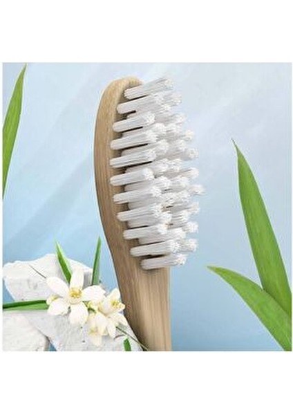 Bambu Diş Fırçası Derin Temizlik Sağlayan Orta Sert Kıllarla 1 Adet