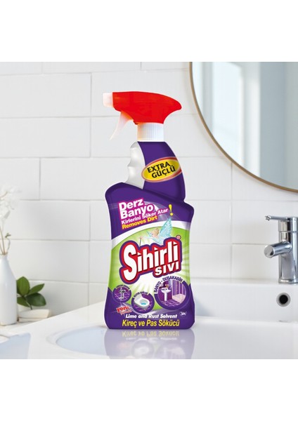 Derz ve Banyo Temizleyici Klasik Sprey 750 ml x16’lı koli fiyatları