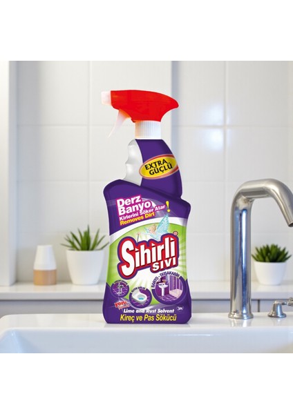 Derz ve Banyo Temizleyici Klasik Sprey 750 ml x16’lı koli modelleri