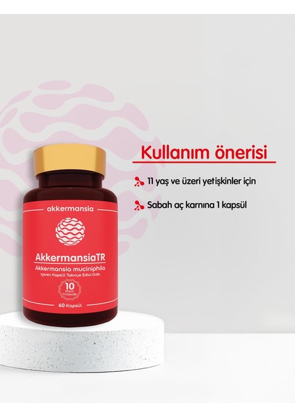AkkermansiaTR Akkermansia Muciniphila İçeren Takviye Edici Gıda 60 Kapsül
