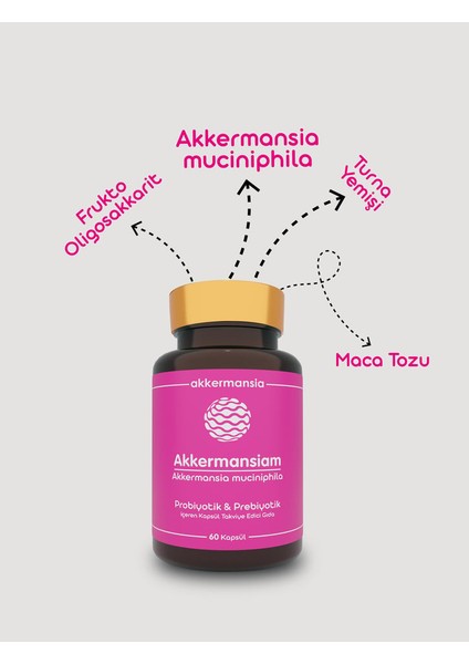 Akkermansia Muciniphila Içeren Takviye Edici Gıda 60 Kapsül fırsatları