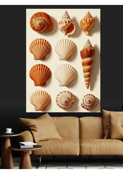 Deniz Kabukları Deniz Teması Dekoratif Kanvas - Mdf Ahşap Tablo fiyatları
