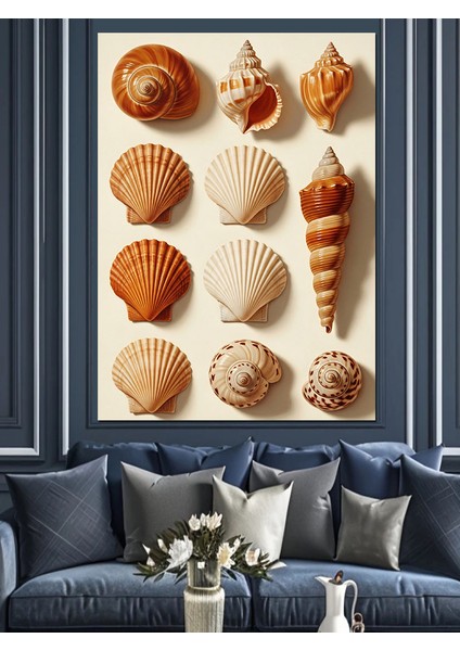 Deniz Kabukları Deniz Teması Dekoratif Kanvas - Mdf Ahşap Tablo indirimleri