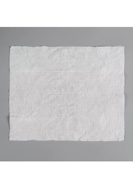 Suda Büyüyen Sıkıştırılmış Mendil 20 Adet modelleri