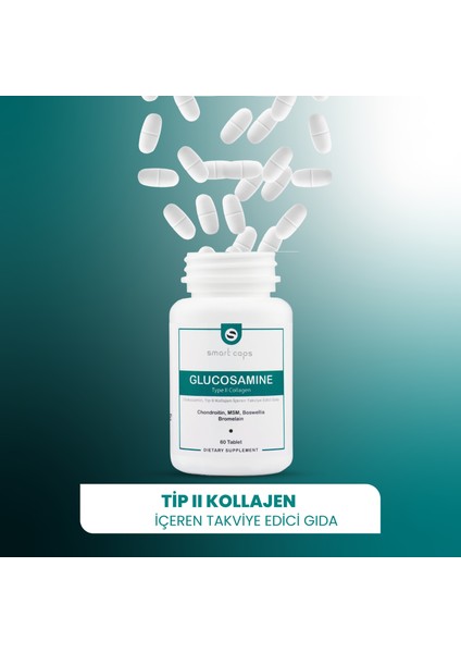 Glukozamin Tip II 60 Tablet fiyatları