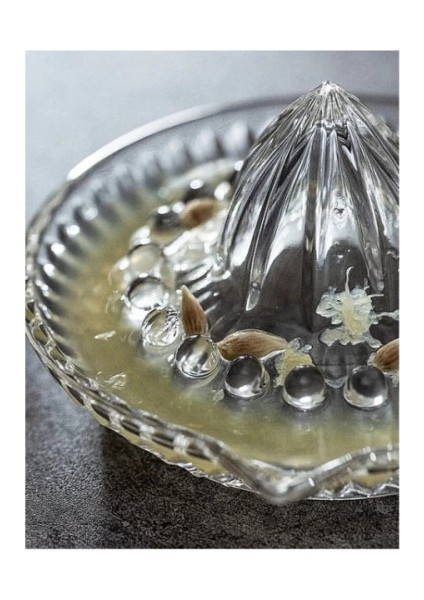 Cam Limon Sıkacağı modelleri