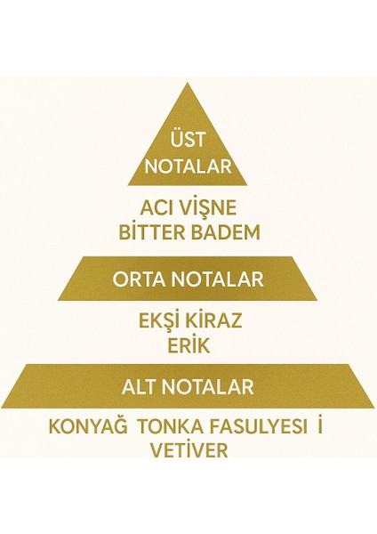 M206 & L204 2’li Özel Parfüm Seti 2x50 ml – Kalıcı, Tatlı ve Zarif Parfüm