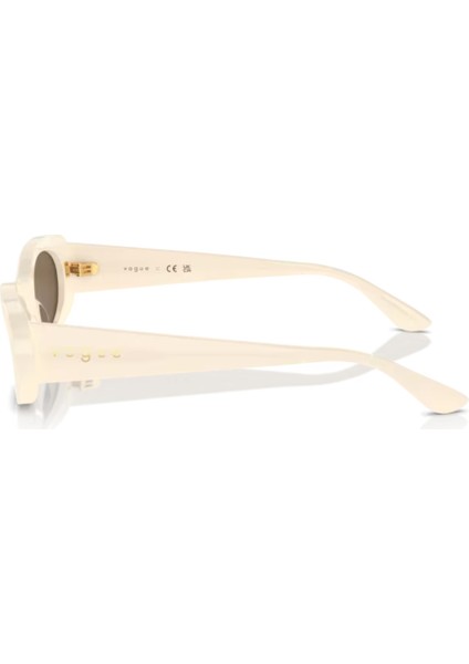 5582-S 316773 53-0 Güneş Gözlüğü
